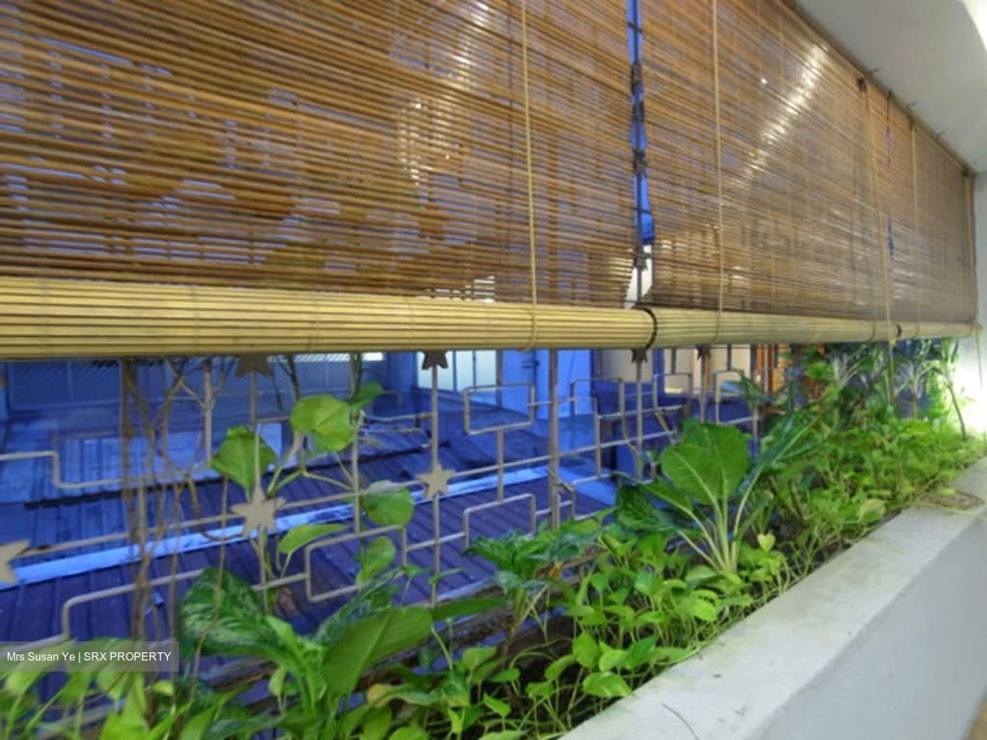 Yong Siak Street (D3), Detached #573994901